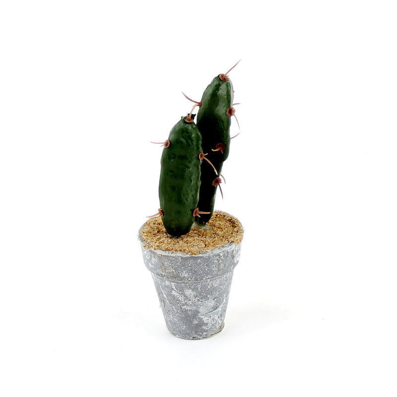 Artificial Cactus (3-Types/GN/GY)