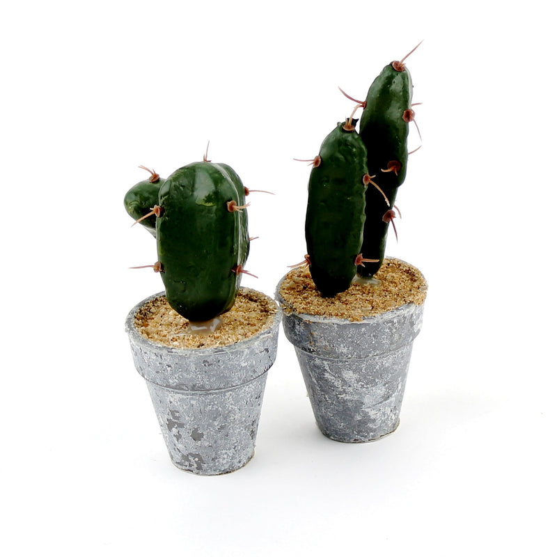 Artificial Cactus (3-Types/GN/GY)