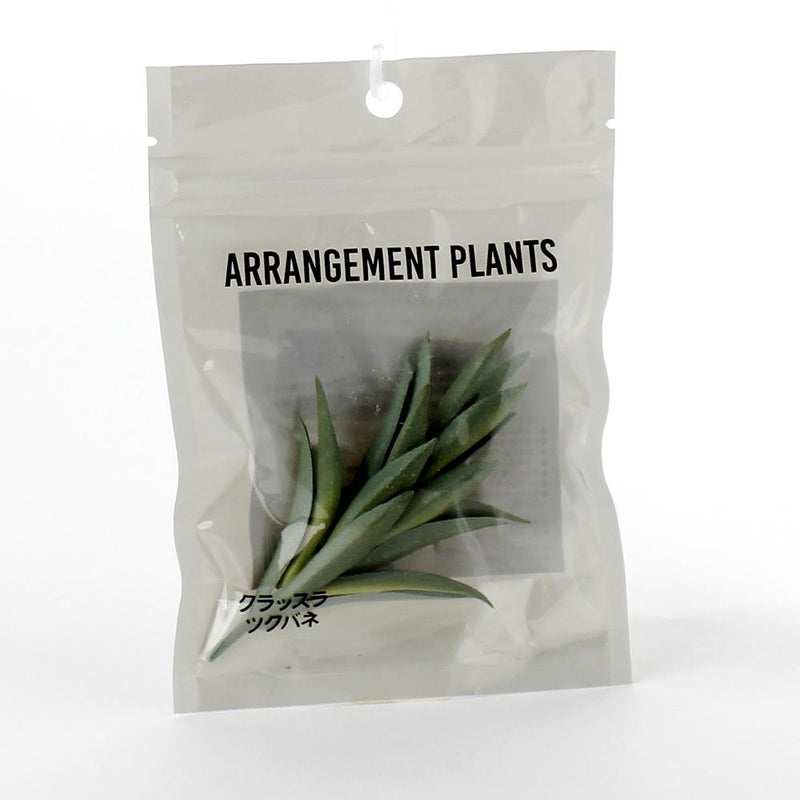 Artificial Plant (PE/Arranged/Buckleya/9cm)