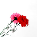 Carnation Artificial Flower