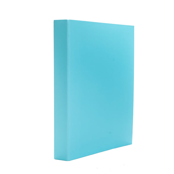 Binder (D-Shaped 2-Ring/Wide/A4: 21x29.7cm/SMCol(s): Blue)