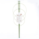 Green Plant Support (60cm)