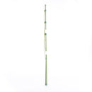 Green Plant Support (60cm)