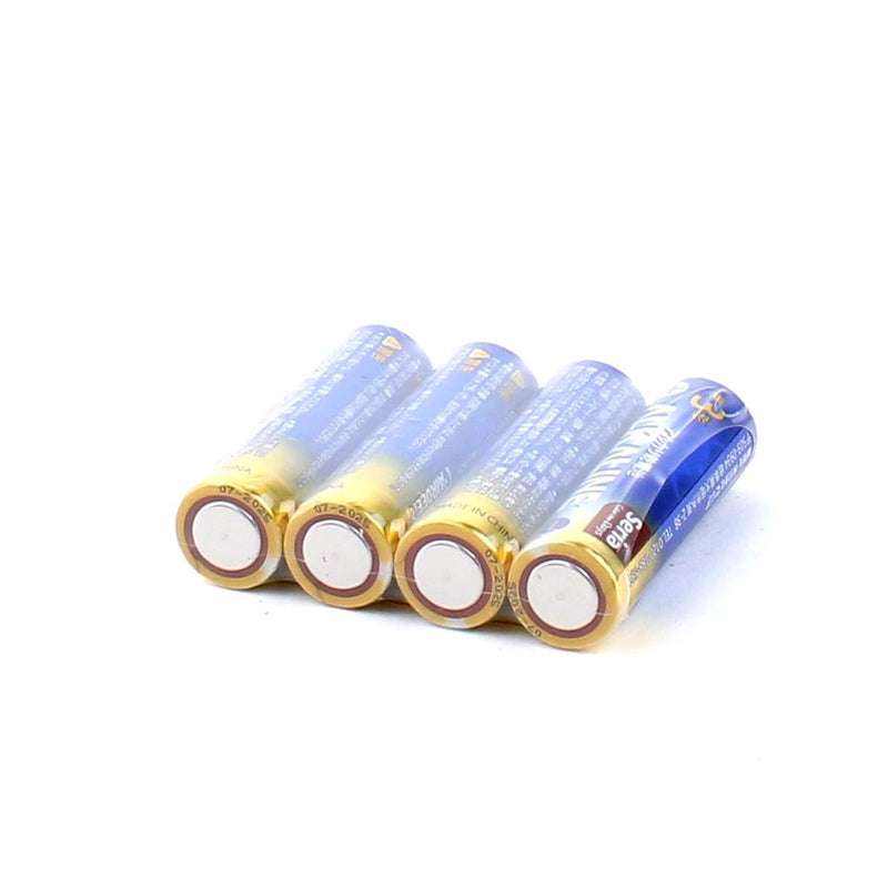 Alkaline AA  Batteries (4pcs)