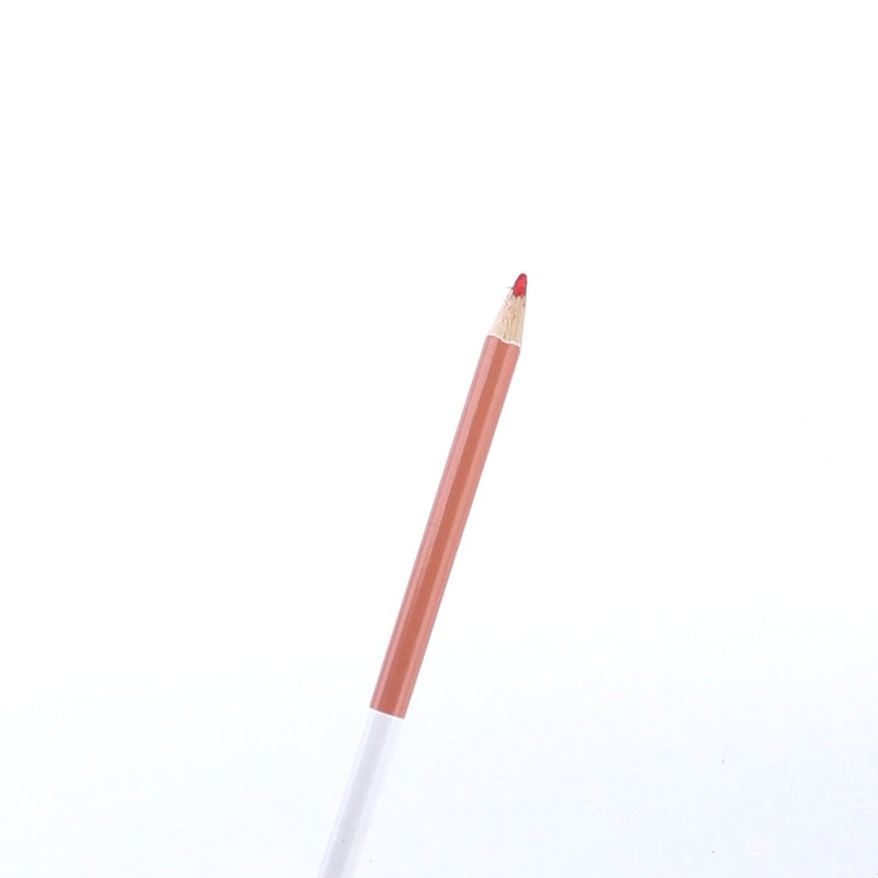 Double-Ended Coloured Pencil (20xColors (10pcs))