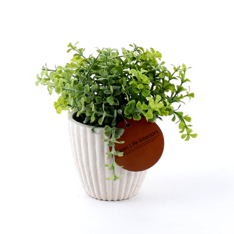 Artificial Plant with Round White Pot