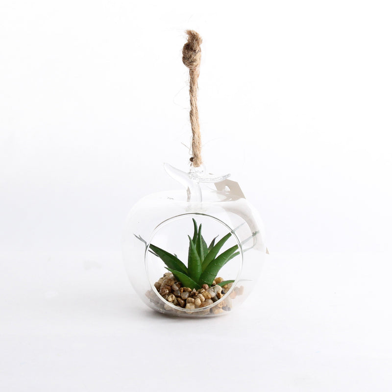 Glass Succulent Plant (8x8x8cm)