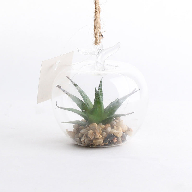 Glass Succulent Plant (8x8x8cm)