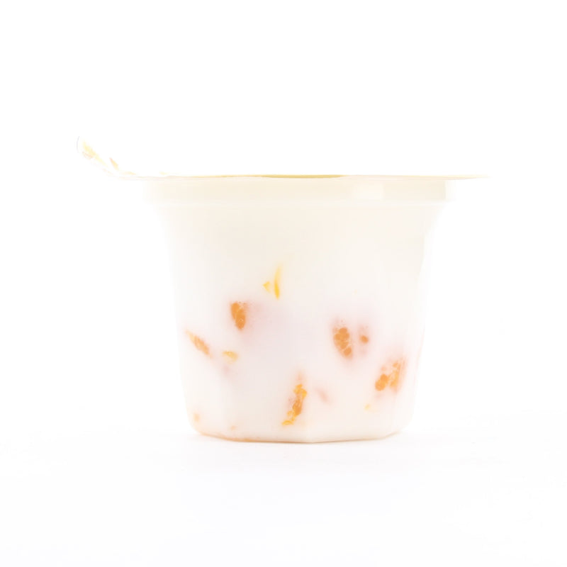 Milk Kanten Tarami Mandarin Orange Milk Kanten Agar Jelly 230 g