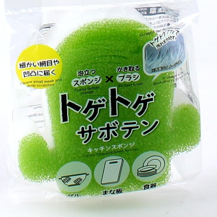Kokubo Cactus Sponge
