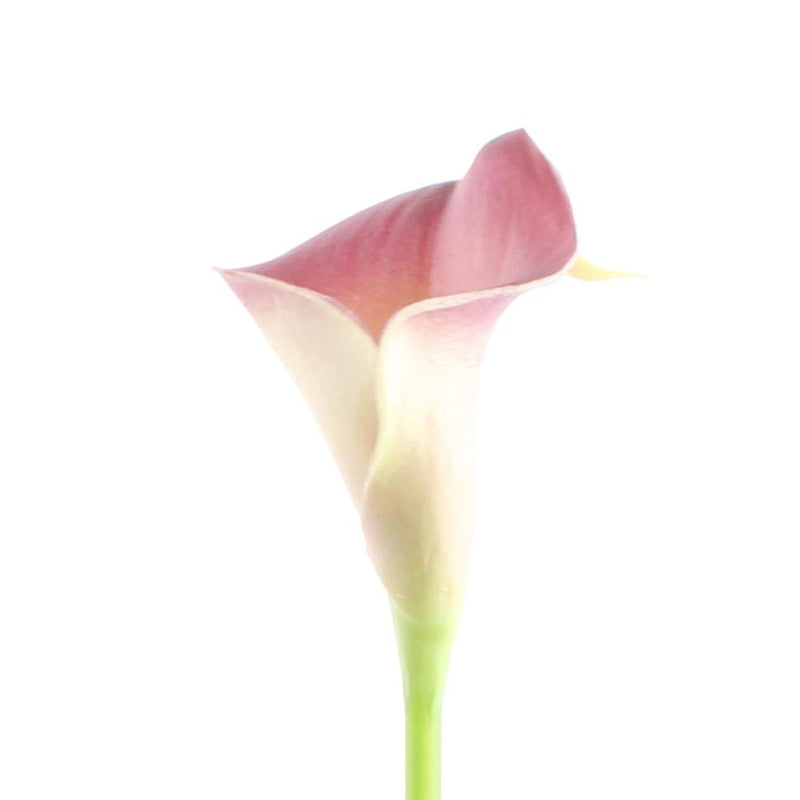 Purple Lily Artificial Flower S