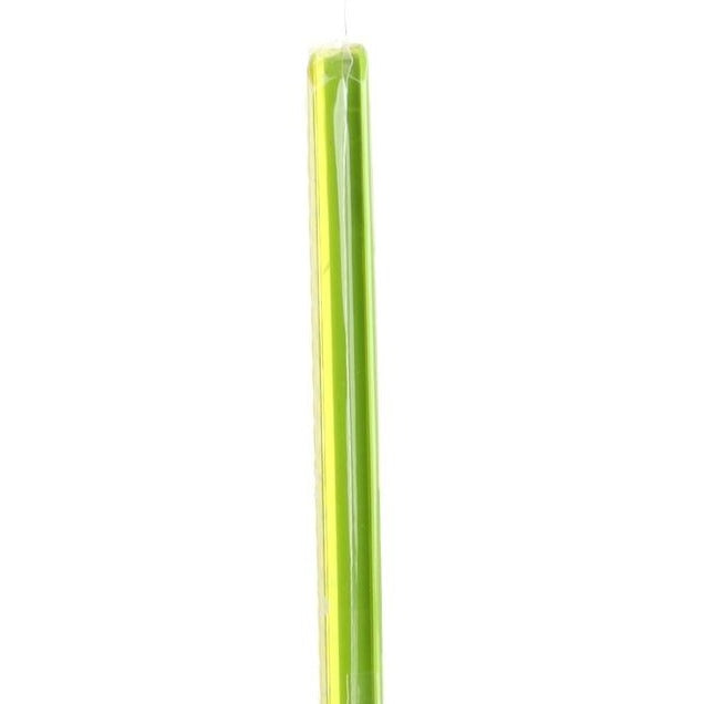 Chopsticks With Case (w/Case/GR/18cm (1pr))