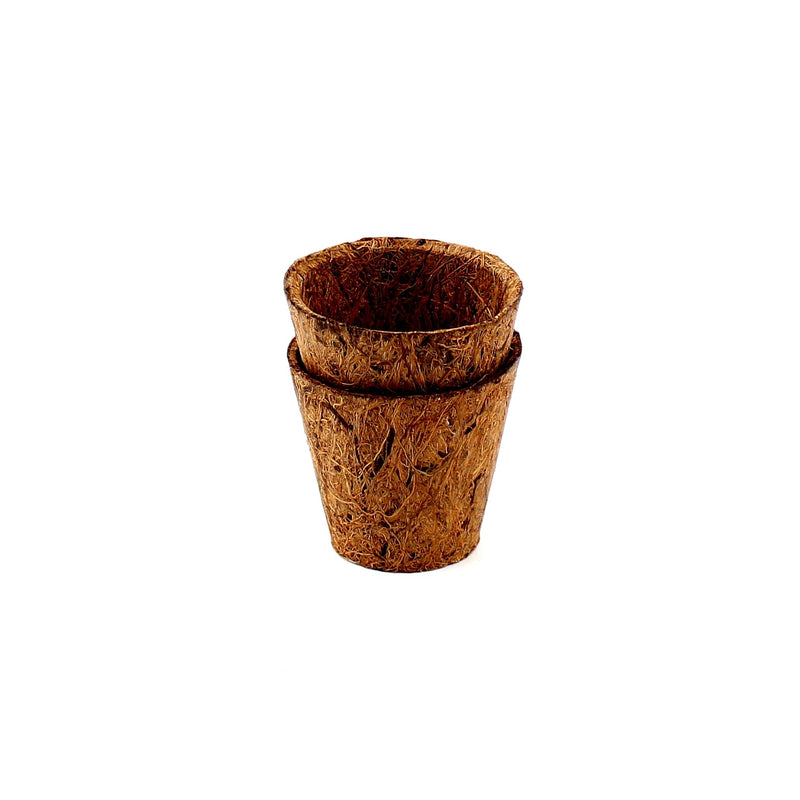 Nursery Pots (Palm/BN/5x5cm (2pcs))