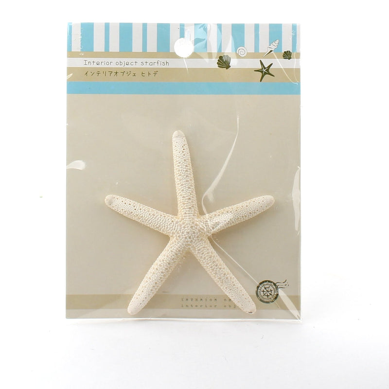 Mini Object (Starfish/WT*LT BL/d.10-11.5cm)