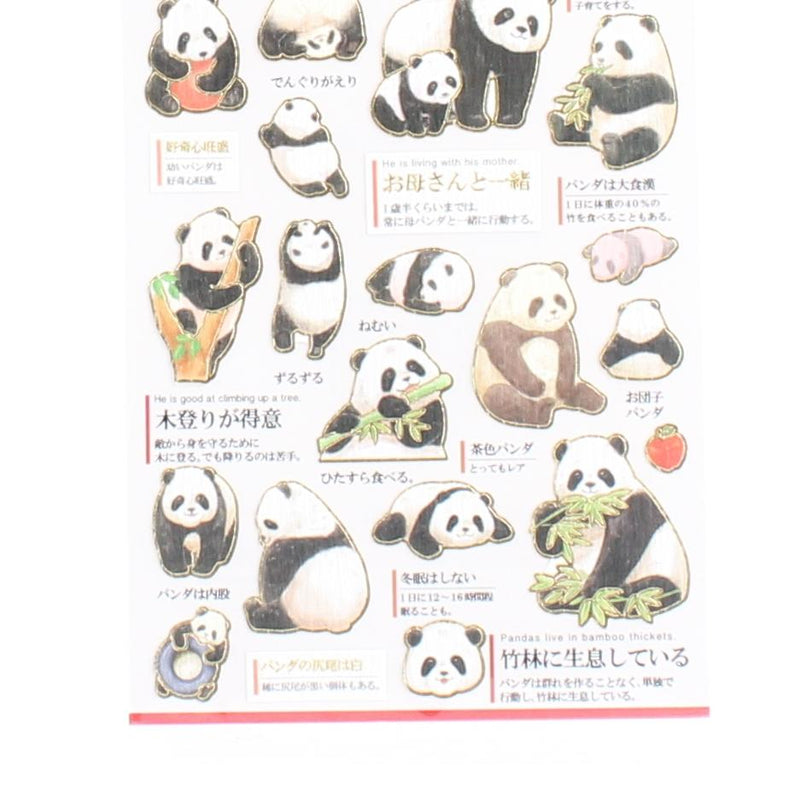 Ecology Panda Adult Picture Dictionary Stickers