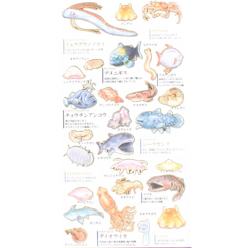 Deepsea Fish Adult Picture Dictionary Stickers