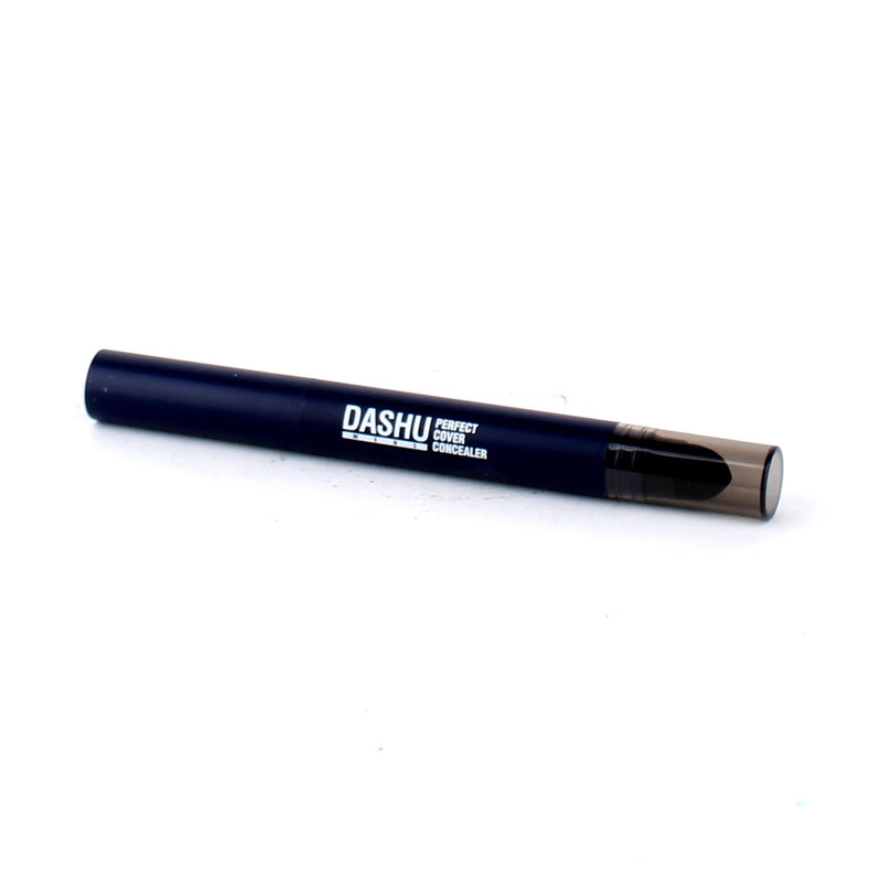 Dashu Mens Perfect Cover Concealer 2.2g