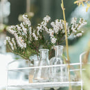 Vase (Glass/Type C/CL/19.5x4.5x8.2cm)